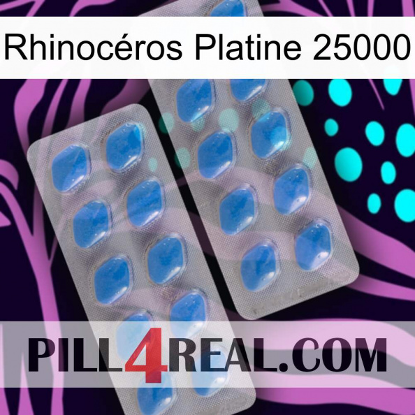 Rhinocéros Platine 25000 23.jpg